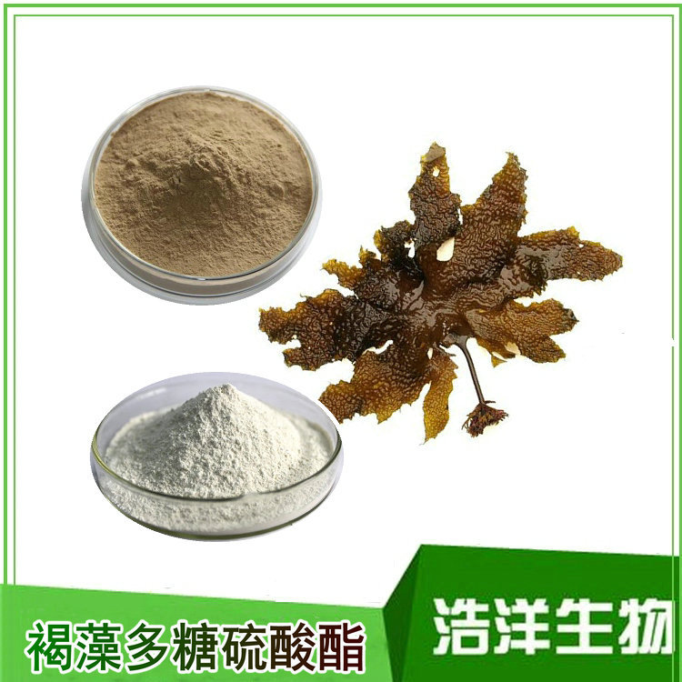 褐藻多糖硫酸酯65%