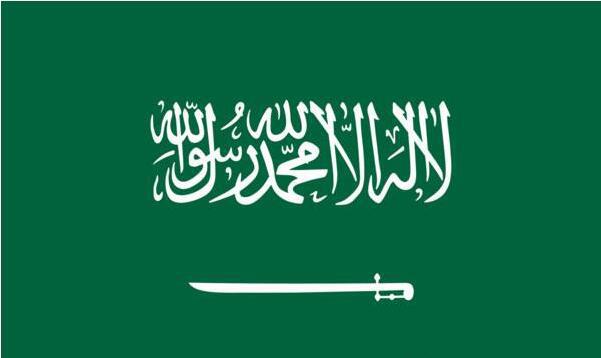 供应世界各国旗帜 90*150厘米 4#沙特阿拉伯国旗