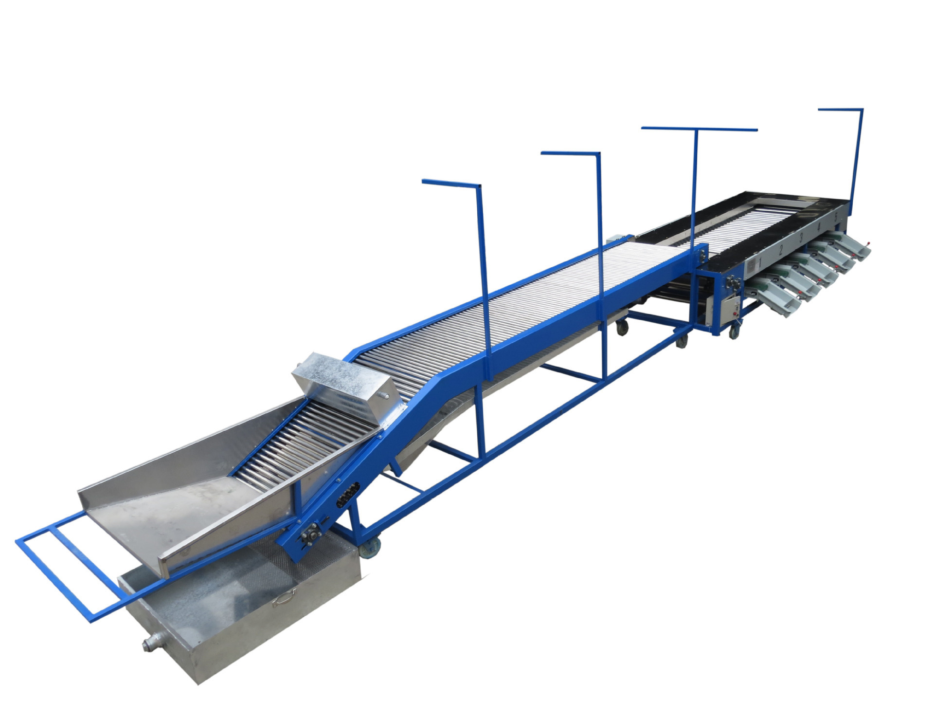 圣女果选果机 金桔分级机水果分级机厂家直销滚杠式