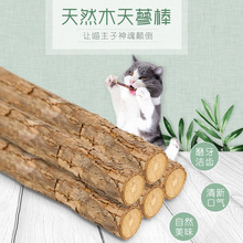 木天蓼棒 猫磨牙棒 天然猫零食木天蓼 5支装猫磨牙棒 猫用品现货