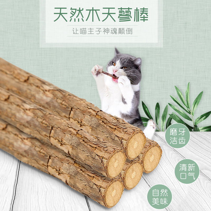 Polygonum Mu Stick Cat Molar Rod Natural Cat Snacks Polygonum Mu 5 PCs Cat Molar Rod Cat-Related Products in Stock