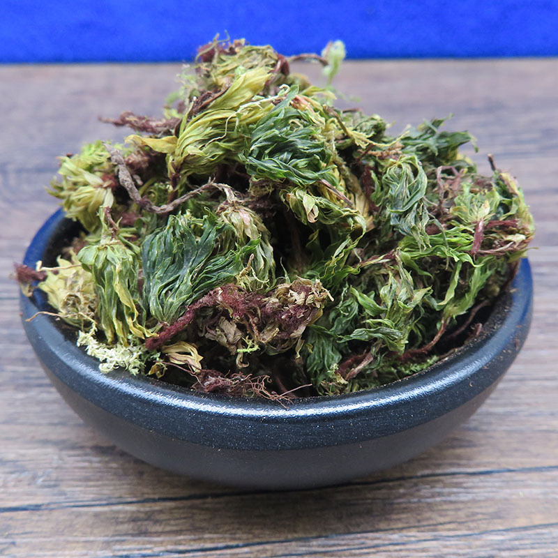 茴心草500g包邮回心草铁脚一把伞中药材批发