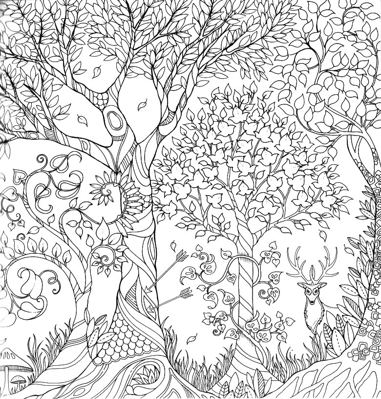 秘密花园第二版魔法森林手绘涂色填色书成人减压涂鸦绘本学生绘画