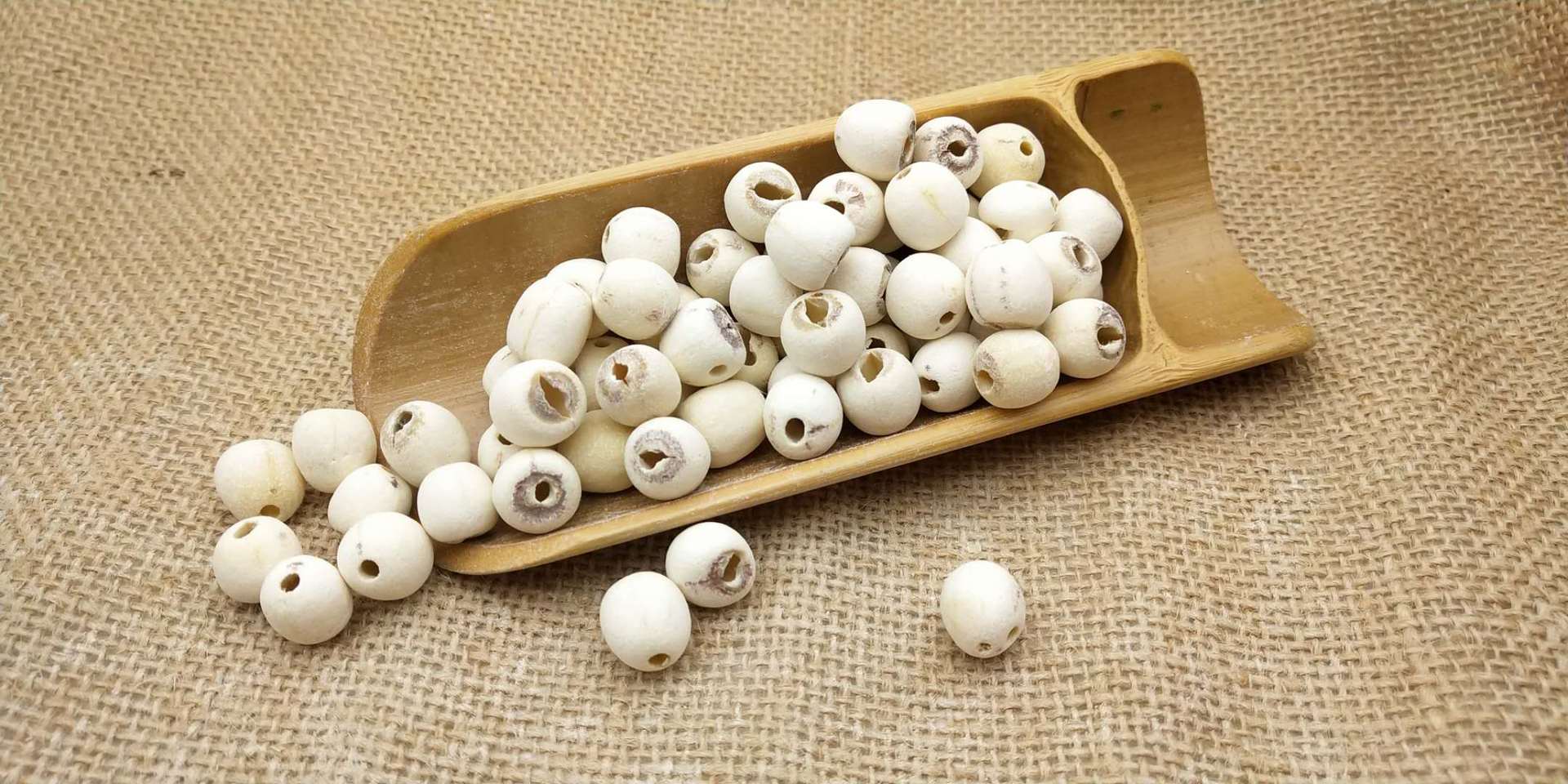 供应 湖北特产洪湖莲子煮粥莲子羹八宝粥原料 磨皮白莲子无芯.