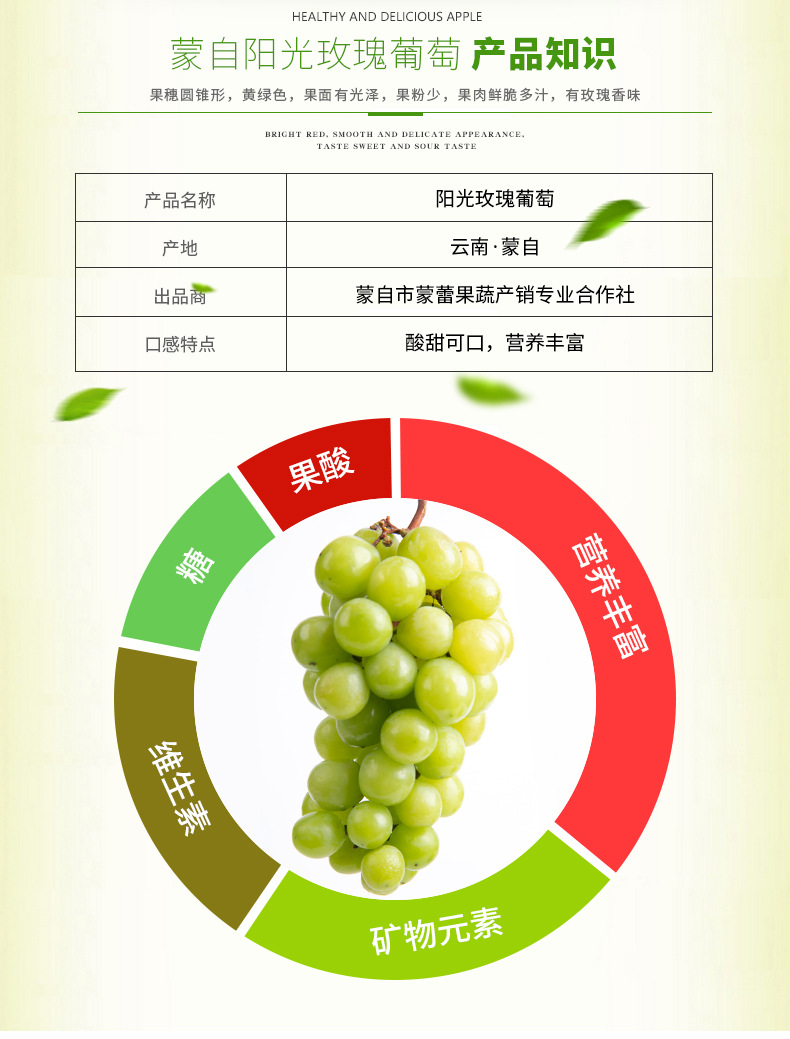 供应蒙自阳光玫瑰葡萄鲜鲜水果无核白葡萄4斤玫瑰葡萄