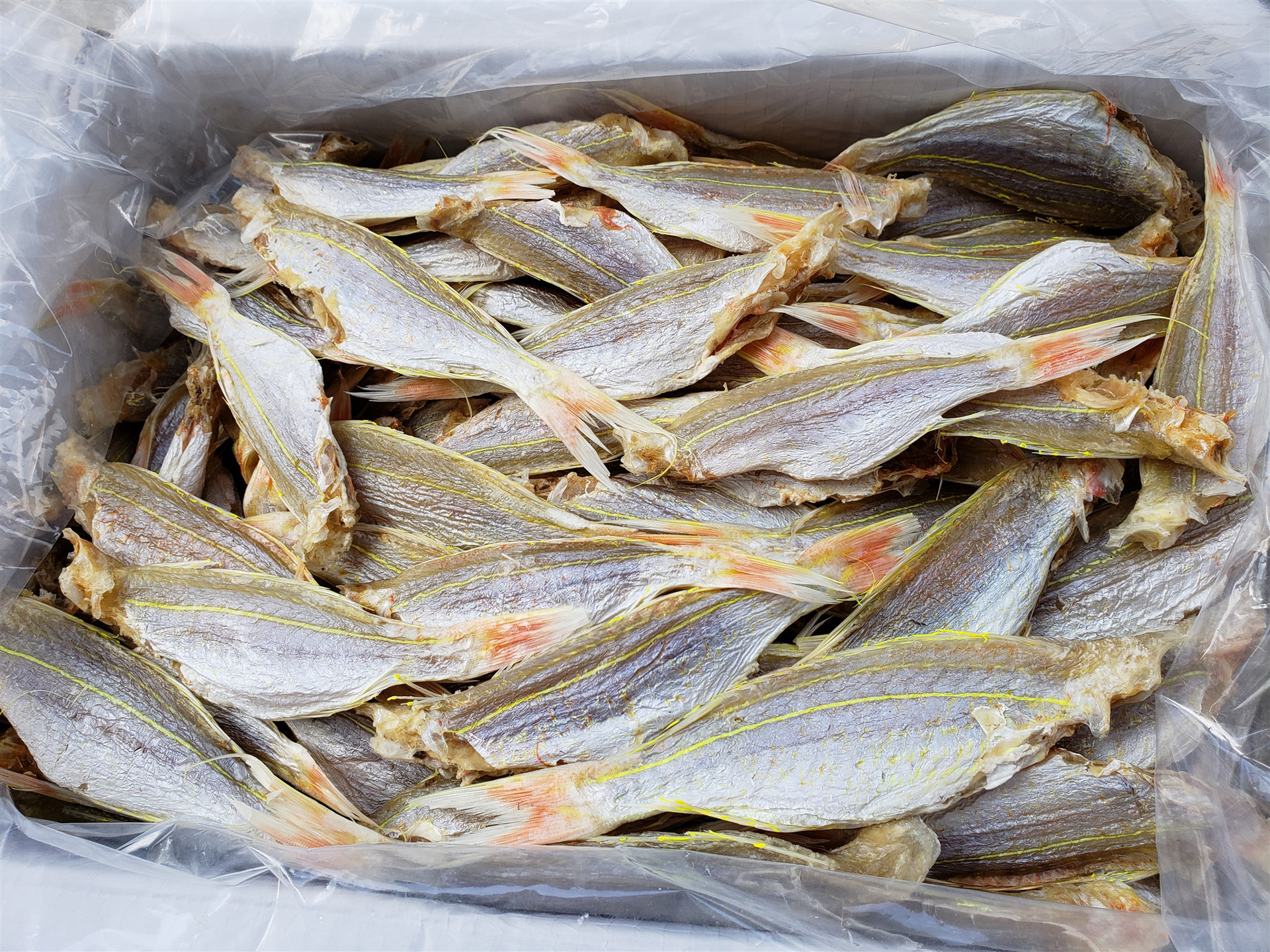 生产加工各种鱼干 冷风烘干 淡咸可控北海市爱鱿鱿加工厂可代加工