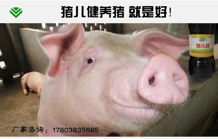养猪EM益生菌