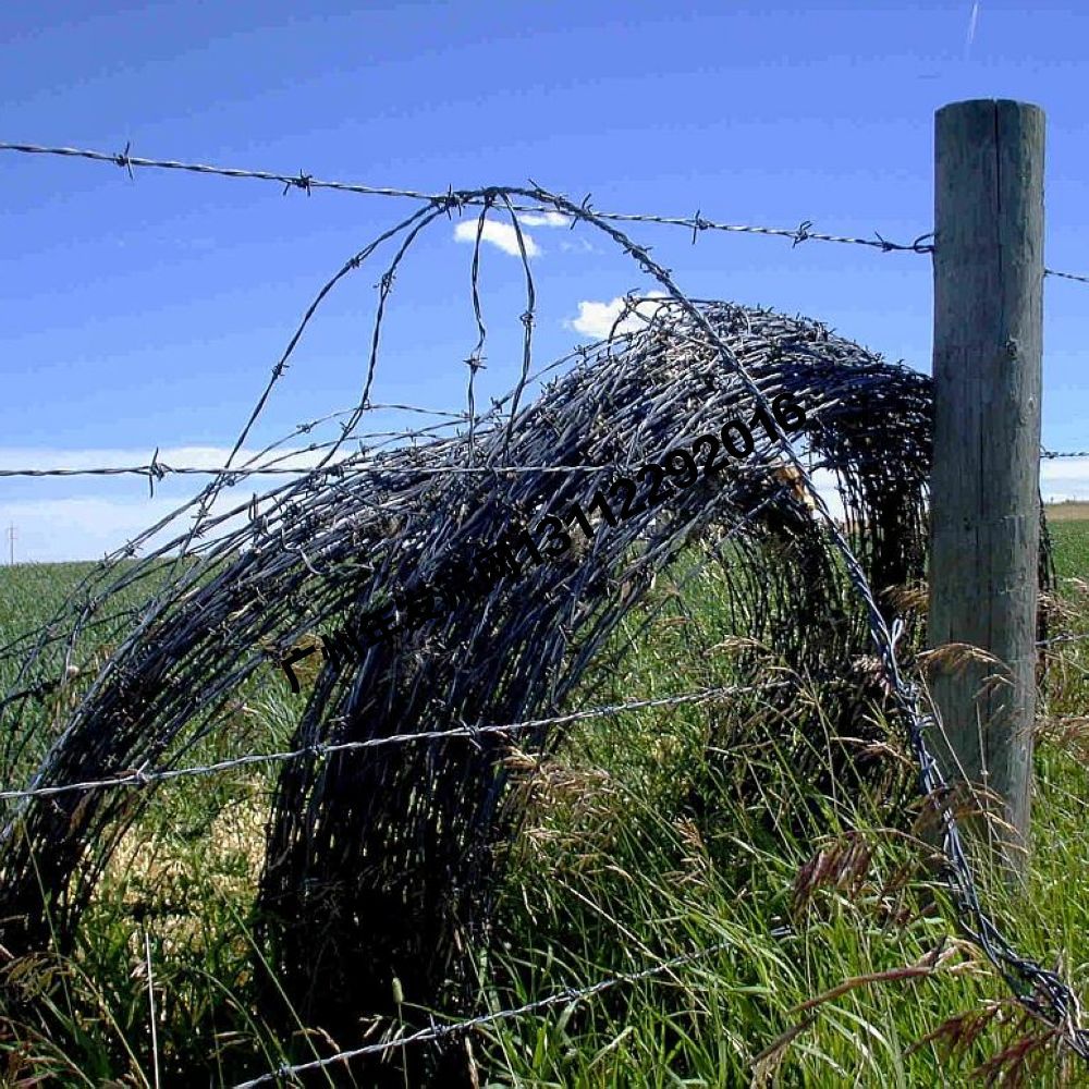 厂家直销 供应各种 刺线刺绳护栏网 围墙安全隔离刺网