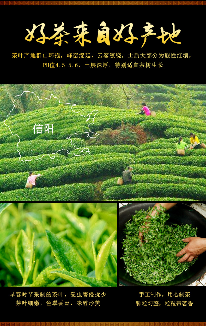 信阳红茶2020新茶明前特级嫩芽散装高山茶叶 红茶茶厂批发500g