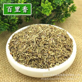 百里香500克thyme麝香草什香草 射香草千里香香料披萨牛现货批发