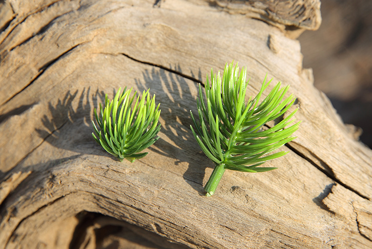 小美人松厂家直供迎客松树叶盆景配件装饰植物假花崖柏叶仿真松枝