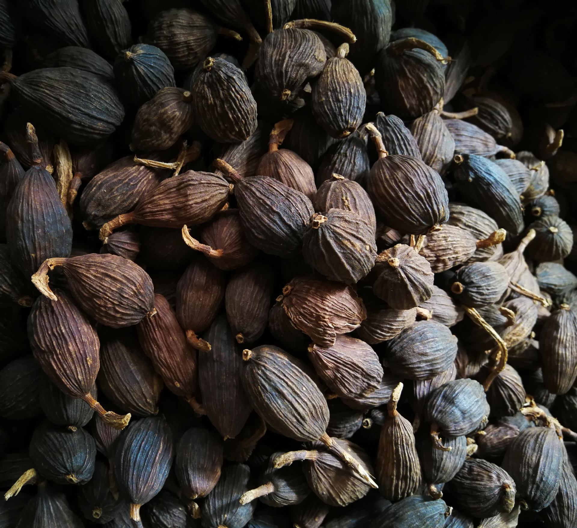 产地云南草果香料 草果 大草果 新货