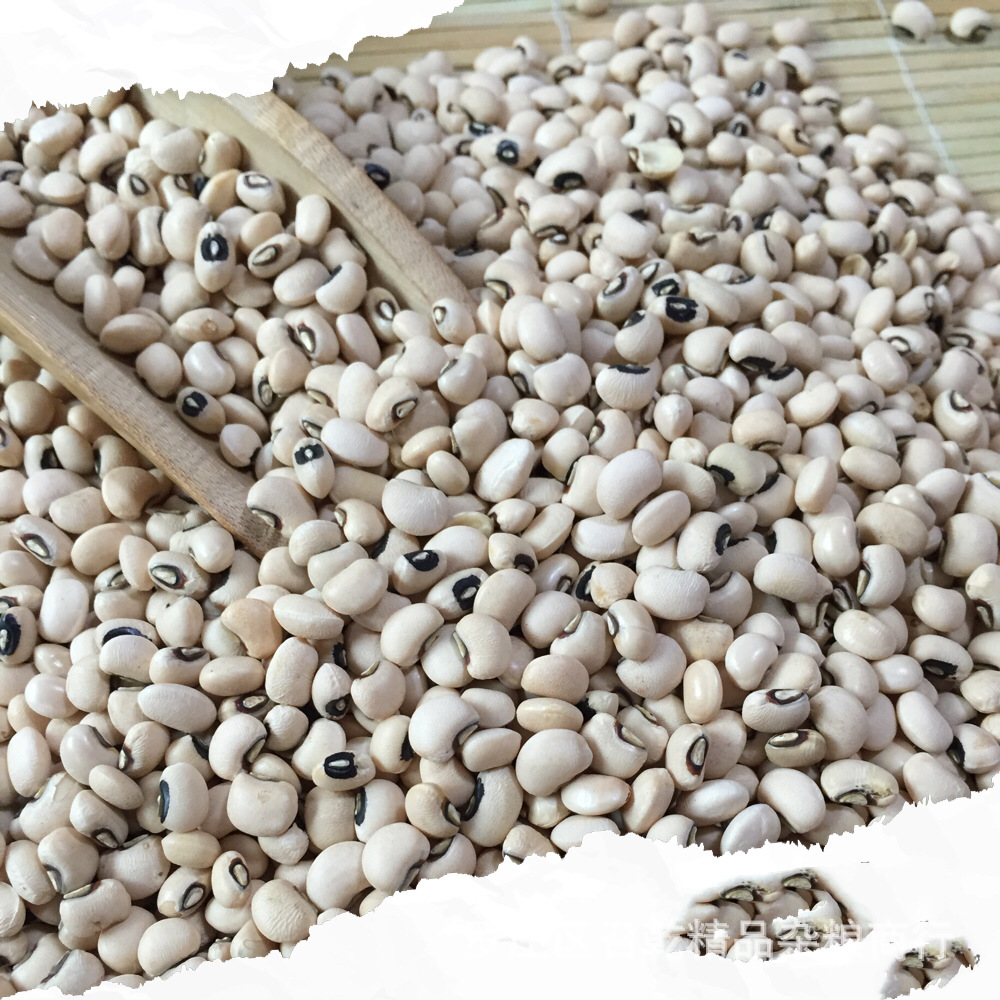 批发优选白豇豆 五谷杂粮白眉豆农家种植粗粮白饭豆量大优惠