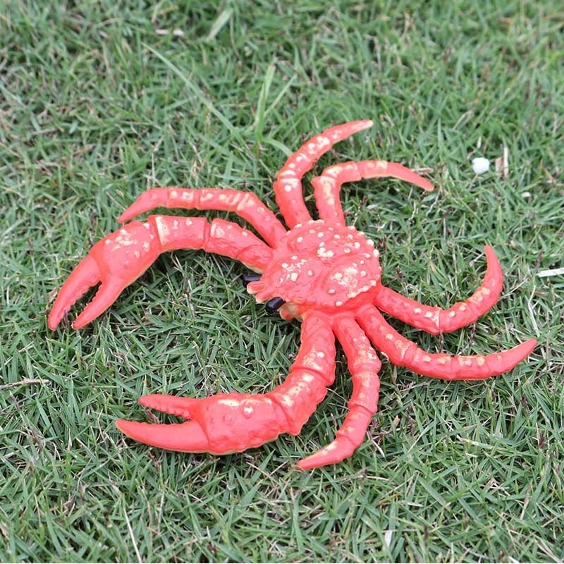 儿童认知仿真实心海洋生物模型玩具迷你帝王蟹 螃蟹模型玩具摆件