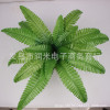 simulation Persia Persia Botany Rainforest decorate Fern leaf Rainforest Botany simulation Green plant Decorated wall simulation Persia Persia Botany Rainforest decorate Fern leaf Rainforest Botany simulation Green plant Decorated wall