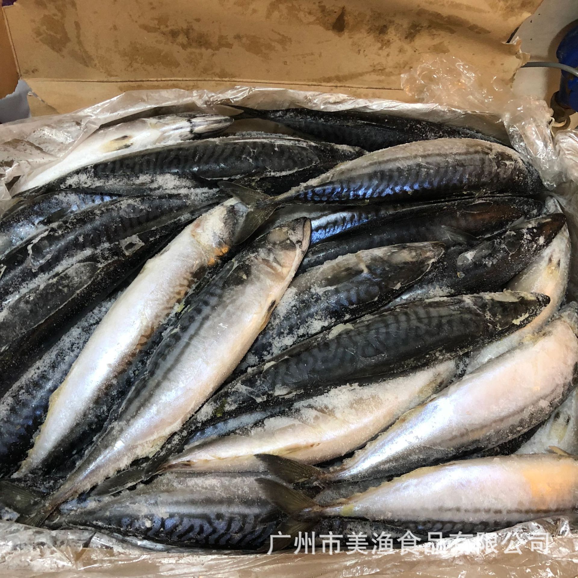 挪威冷冻原条青花鱼鲐鱼冷冻青鱼 烧烤 日式料理400-600g/条 20kg