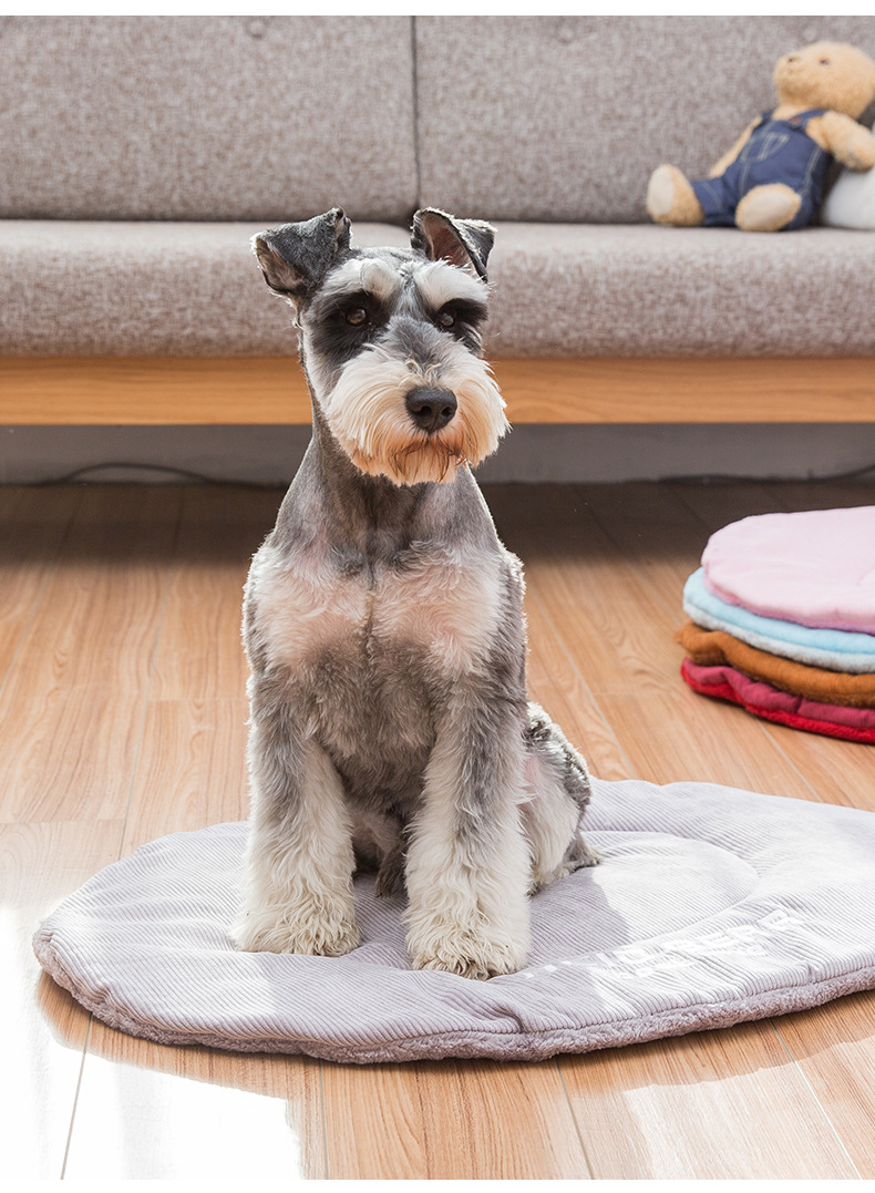 狗狗垫子夏天宠物垫耐咬猫垫夏季小型中型犬泰迪幼犬毛毯被子四季