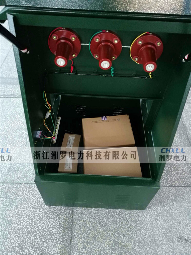 湘罗dfw-12 厂家10kv高压电缆分支箱 一进七出/二进六出 含避雷器