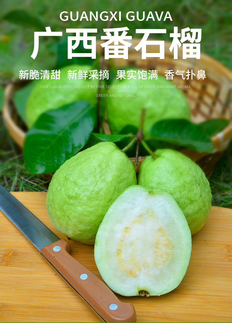 广西特产现摘 白心番石榴 水果5斤装 新鲜番石榴水果 清脆香甜