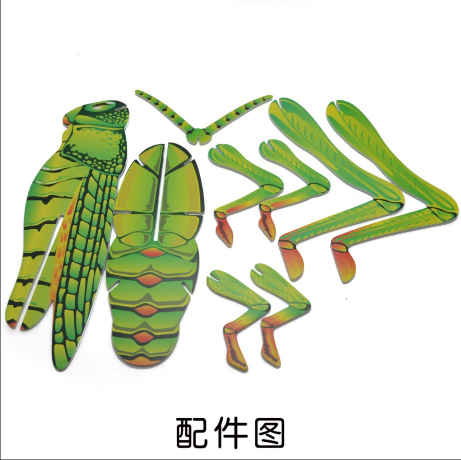 3d昆虫拼模生物虫模科学实验器材科技小制作diy小学生科教玩具