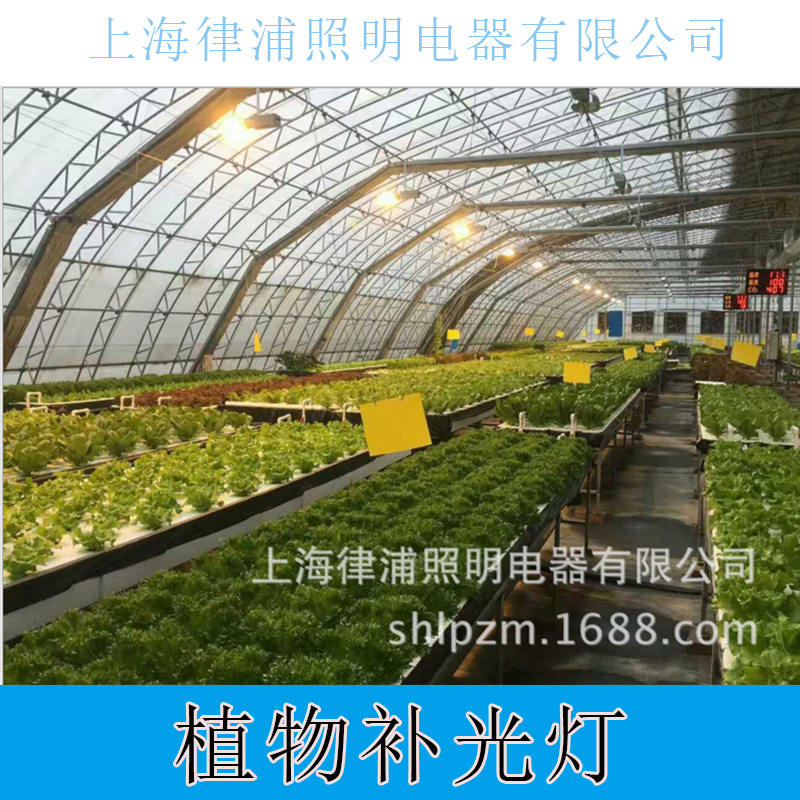 高光效农用钠灯150w250w400w1000w植物照明补光灯-阿里巴巴