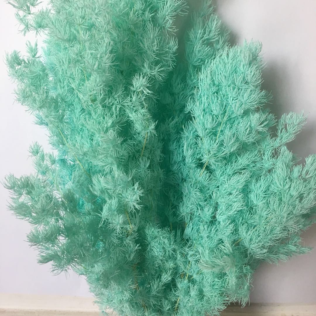 永生蓬莱松 成品配材 瓶插花 拍摄道具