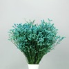 Crystal Grass Dried flowers Yunnan Place of Origin Manufactor Direct selling natural hotel Home flower arrangement Ornaments