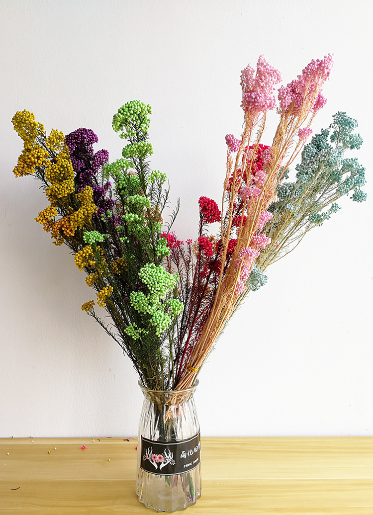 永生花米花干花 批发干花永生米花花束真花七夕情人节花束礼物