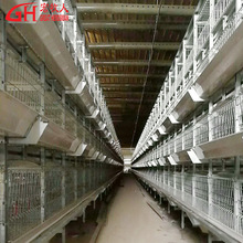 安徽宿州厂家 立式自动清粪肉蛋鸡雏鸡笼养设备 H型层叠式肉鸡笼