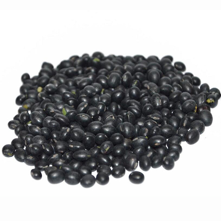 厂家供应 丹波黑豆 黑皮黄仁 豆浆用黑豆 炒货豆腐 青仁黑豆