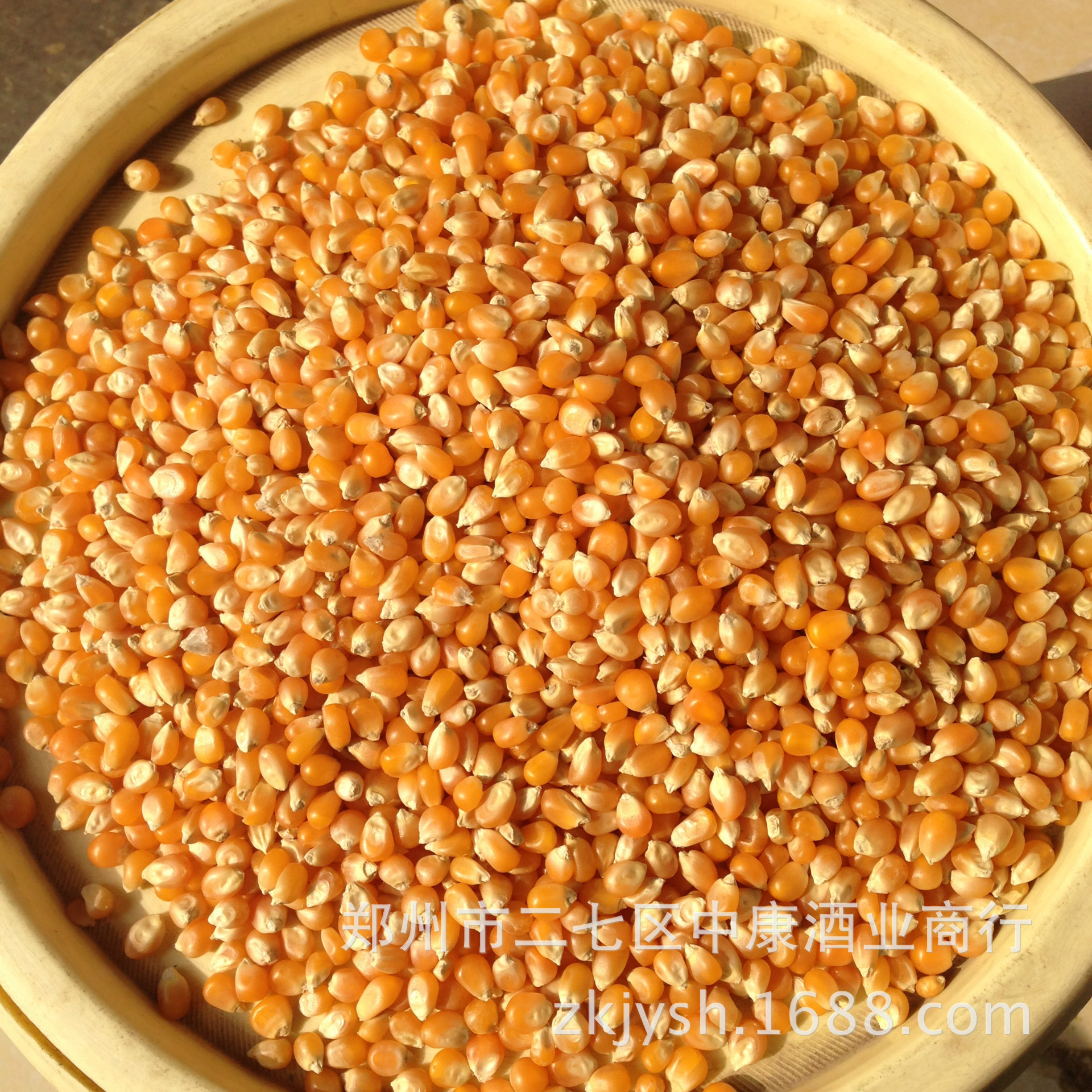 便宜批发供应球形爆裂 球形玉米粒爆花玉米散装爆米花专用玉米