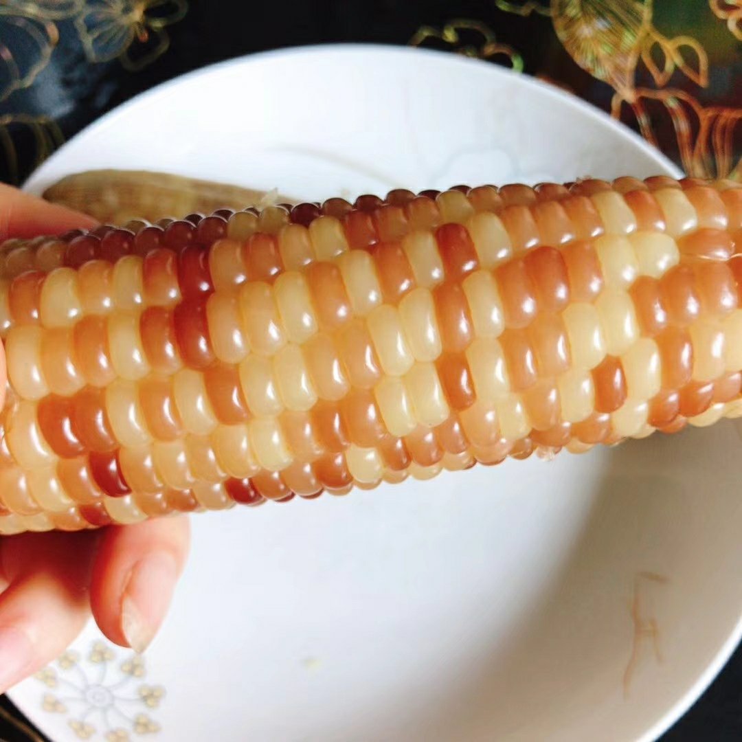 【云南香糯小玉米】4斤装云南七彩玉米原始品种健康早餐粗粮