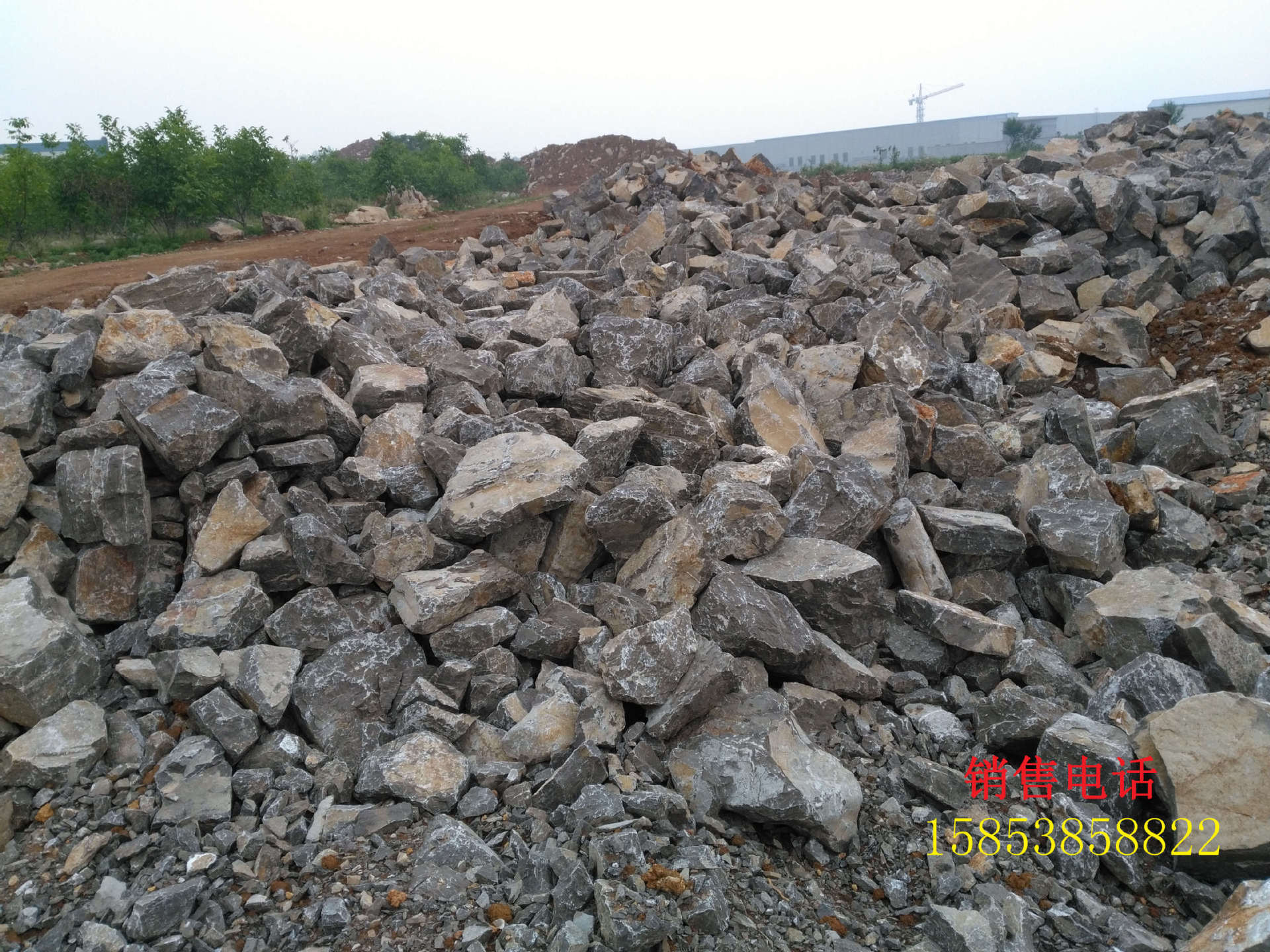 填海石材工程碎石大量低价处理景石种类齐全量大从优