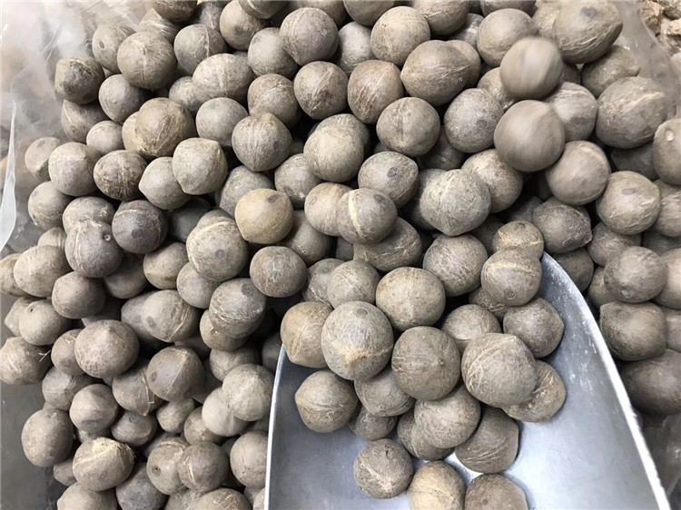 一德路海味 海椰王 干货野生小椰子滋补品500g