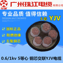 珠江/华新YJV5*2.5/4/6/10/16/25/35/50/70/95/120/185平铜芯电缆
