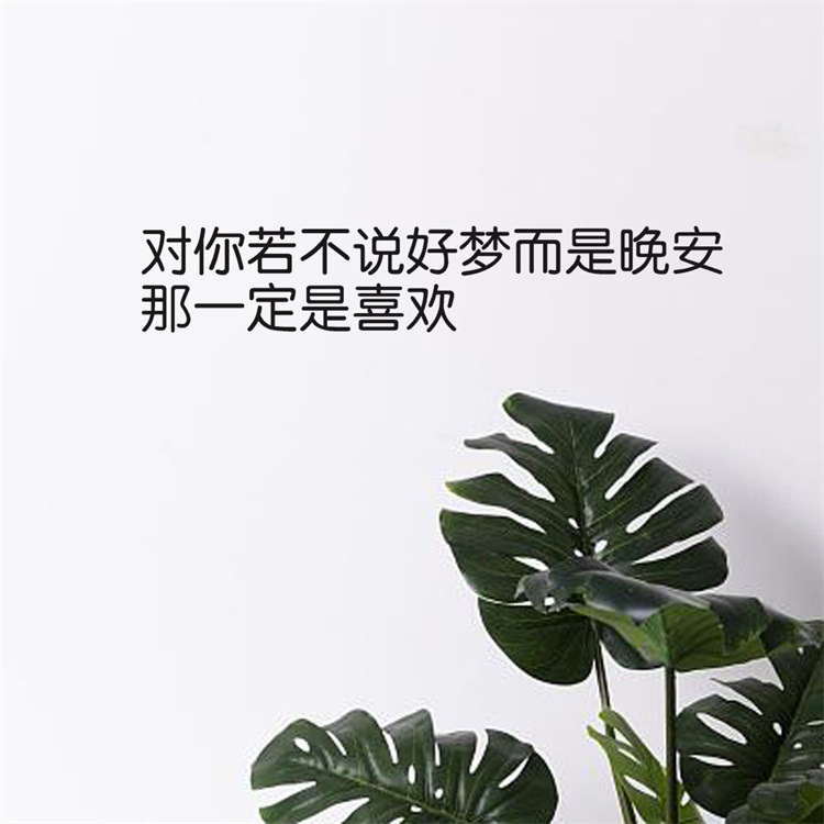 gb640 说晚安一定是喜欢简约装饰贴纸 土味情话墙贴 宿舍拍照背景