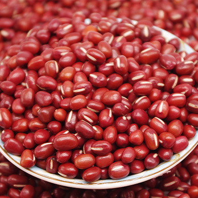 东北大红豆 大赤豆 红小豆新货质量比较均匀饱满500g