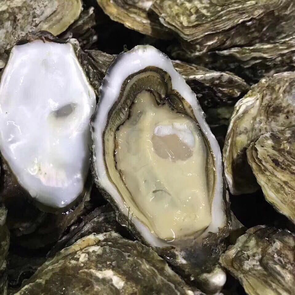 法国生蚝吉拉多吉娜朵新鲜活海鲜生吃即食刺身水产48-50只/盒