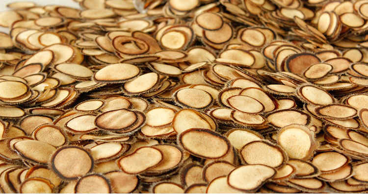 鹿茸梅花鹿白粉片鹿乡货源东北中药材泡酒料滋补招代理