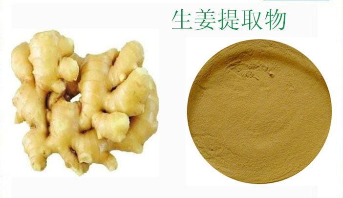 生姜 提取物 姜辣素5% 陕西慧科 厂家直销 现货供应 免费包邮