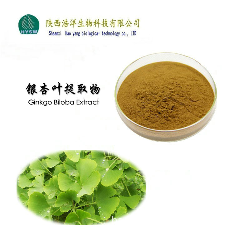 银杏叶提取物4% 水溶银杏黄酮包邮 植物提取物 品牌厂家:陕西浩洋