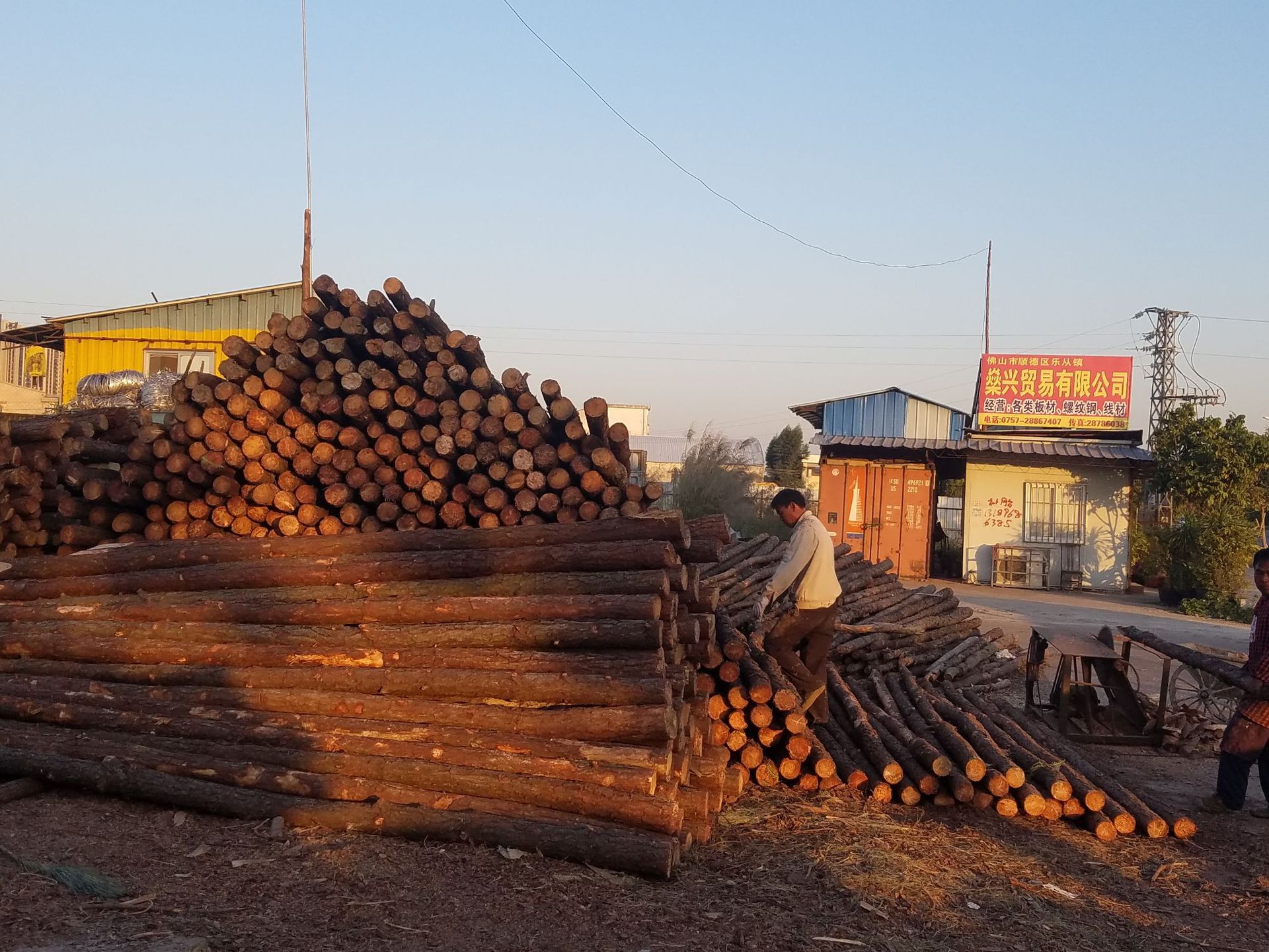 广东松木桩批发 林场直发直采 1-8米建筑松木桩 打桩木