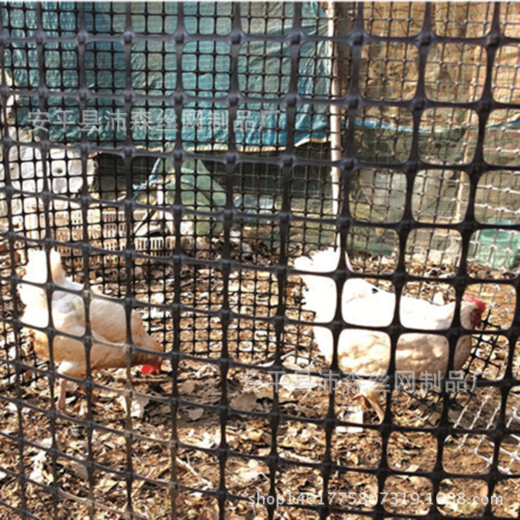加厚土工格栅塑料格栅围栏网养鸭养鸡漏粪网水产养殖防护网