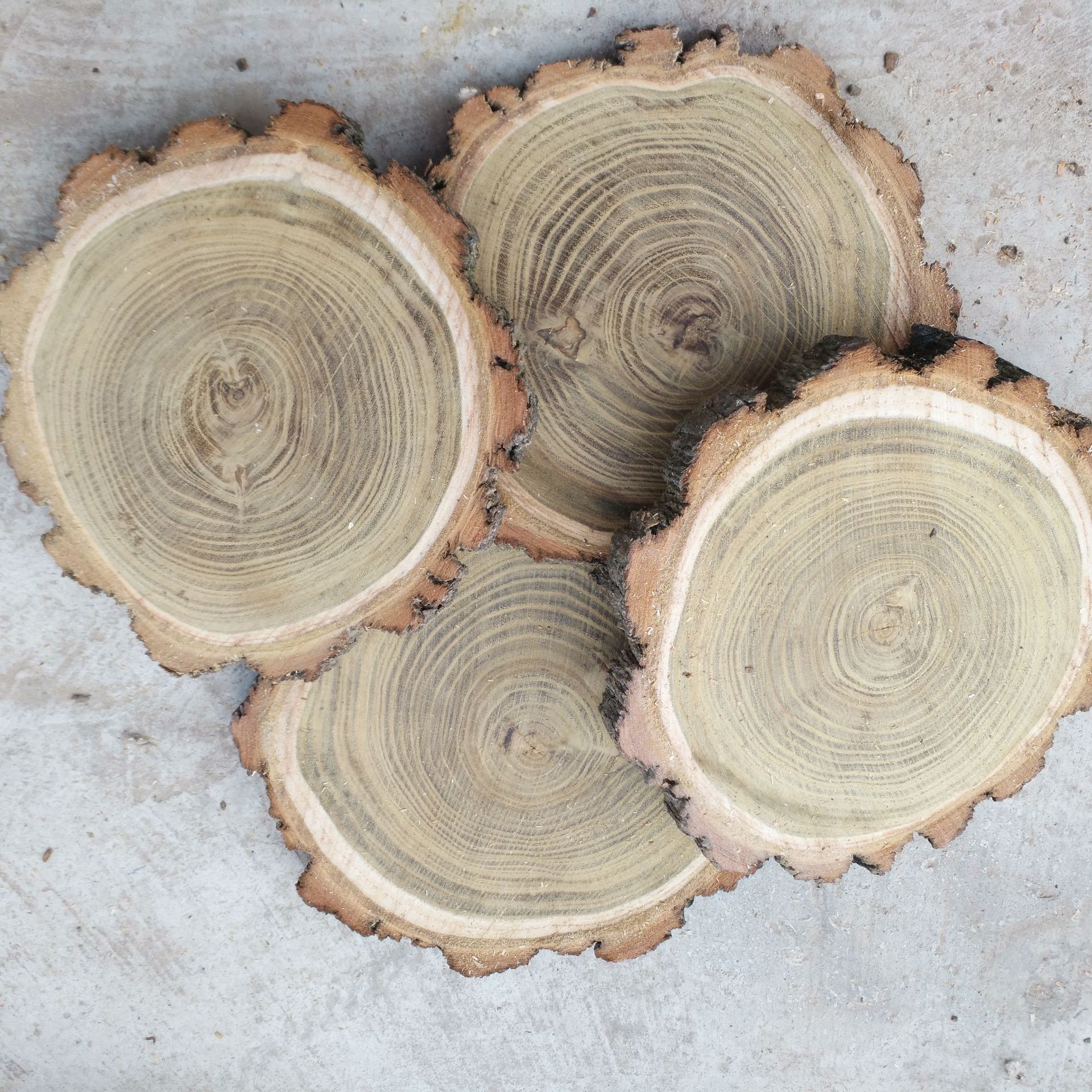 原木片 diy纯手工实木年轮绘画圆木片槐木木块手绘圆木头木片树片