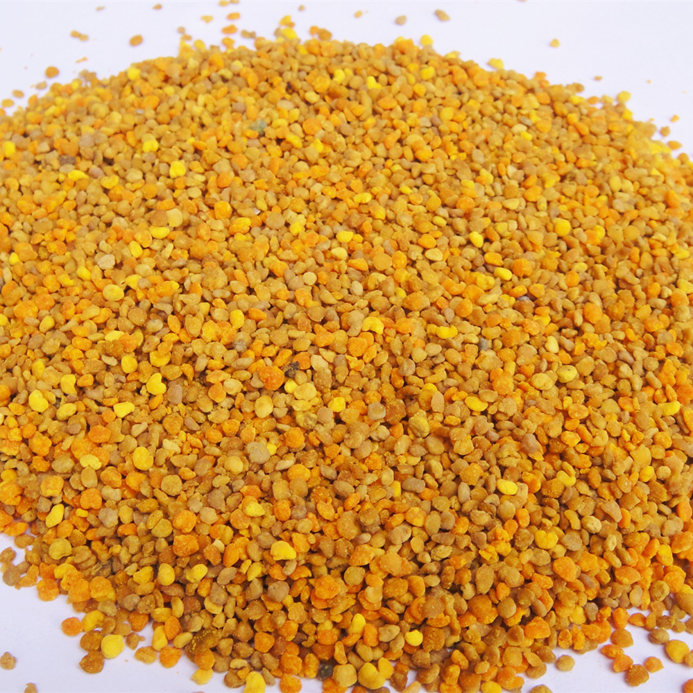 蜂花粉 百花粉颗粒 蜜蜂养殖喂蜂饲料 养蜂工具批发 5斤包邮