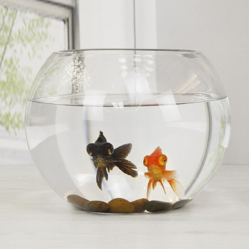 定制鱼缸 透明生态小型迷你小鱼缸 亚克力圆形方形室内办公桌鱼缸