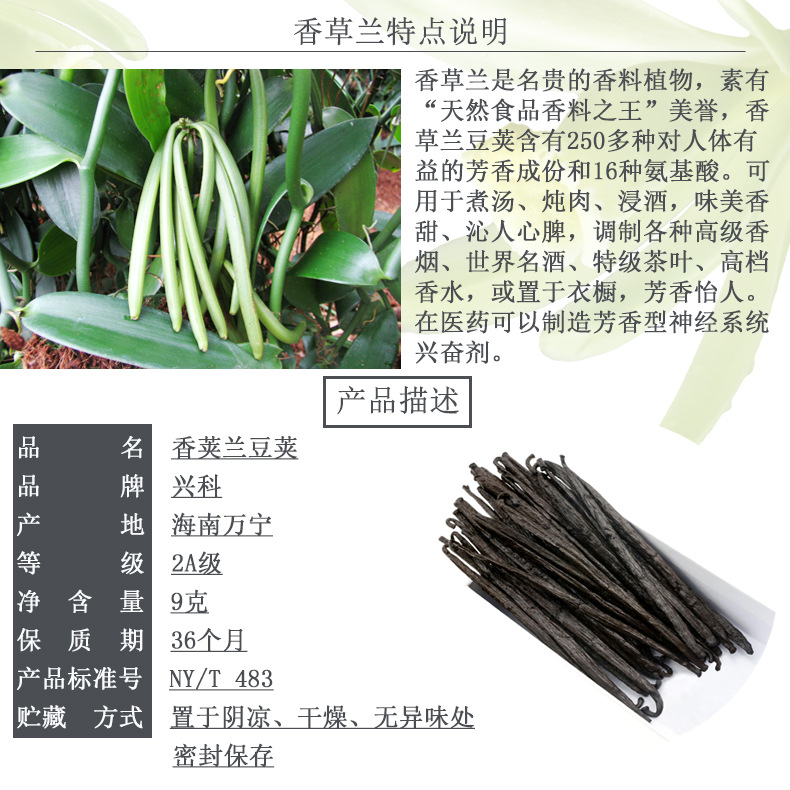 海南原产地种植 兴科香草兰豆荚/香草荚/香草棒/vanilla批发