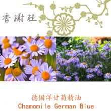 法国进口洋甘菊精油Chamomile German Blue蓝甘菊单方精油3ML起订