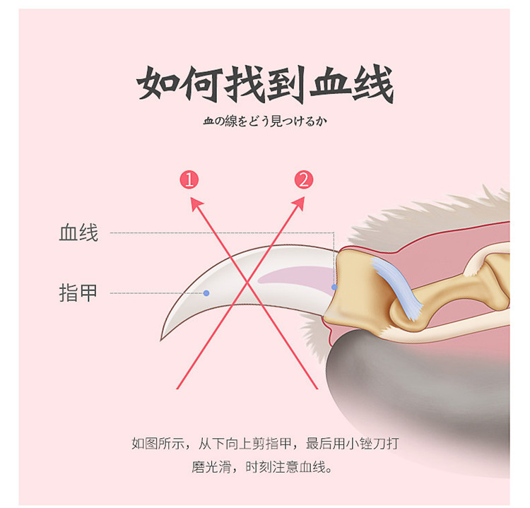 宠物用品狗指甲钳指甲剪猫咪指甲剪带锉刀宠物清洁美容用品批发
