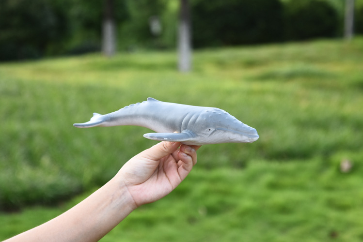 跨境新品海洋仿真动物模型 鲸鱼模型玩具 软胶座头鲸摆件益智玩具